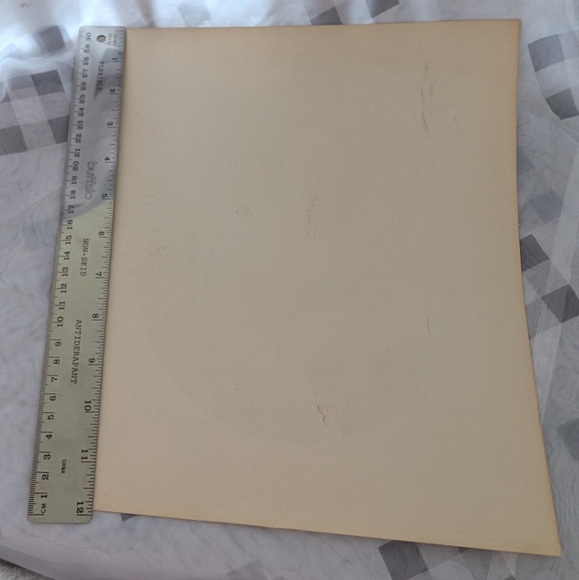 Kitten Reflection Lithographic print Vintage Douglass Dog By Chaplan #408 - Picture 3 of 3